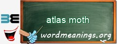 WordMeaning blackboard for atlas moth